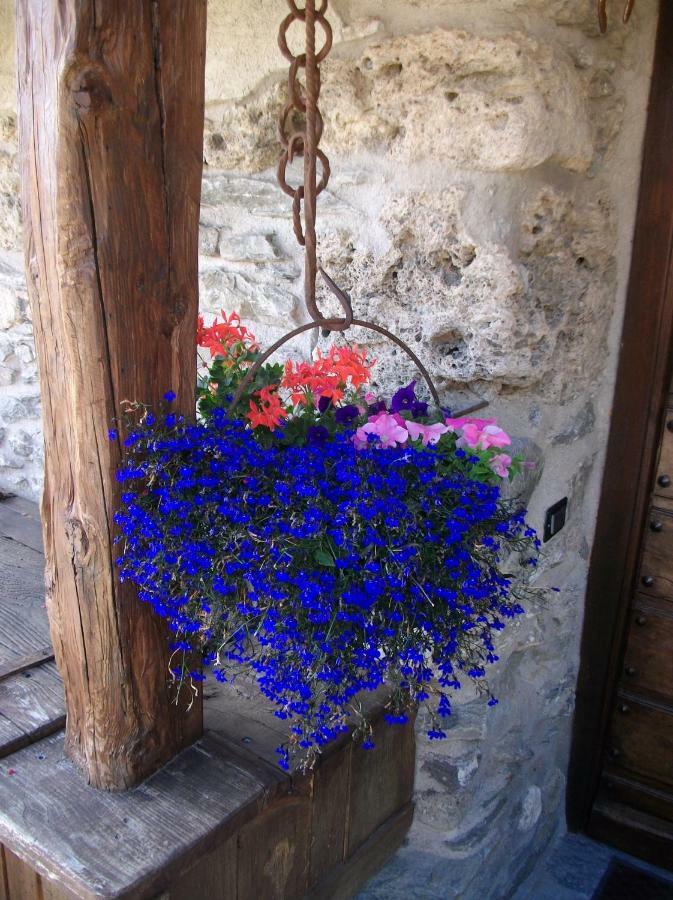 Le Petit Château de Vetan Saint-Pierre Extérieur photo